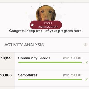 I’m a Posh Ambassador!